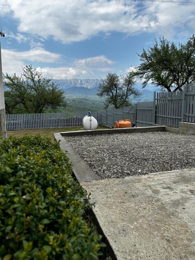 Villa Prater House Mountain View Moieciu de Jos Exterior foto